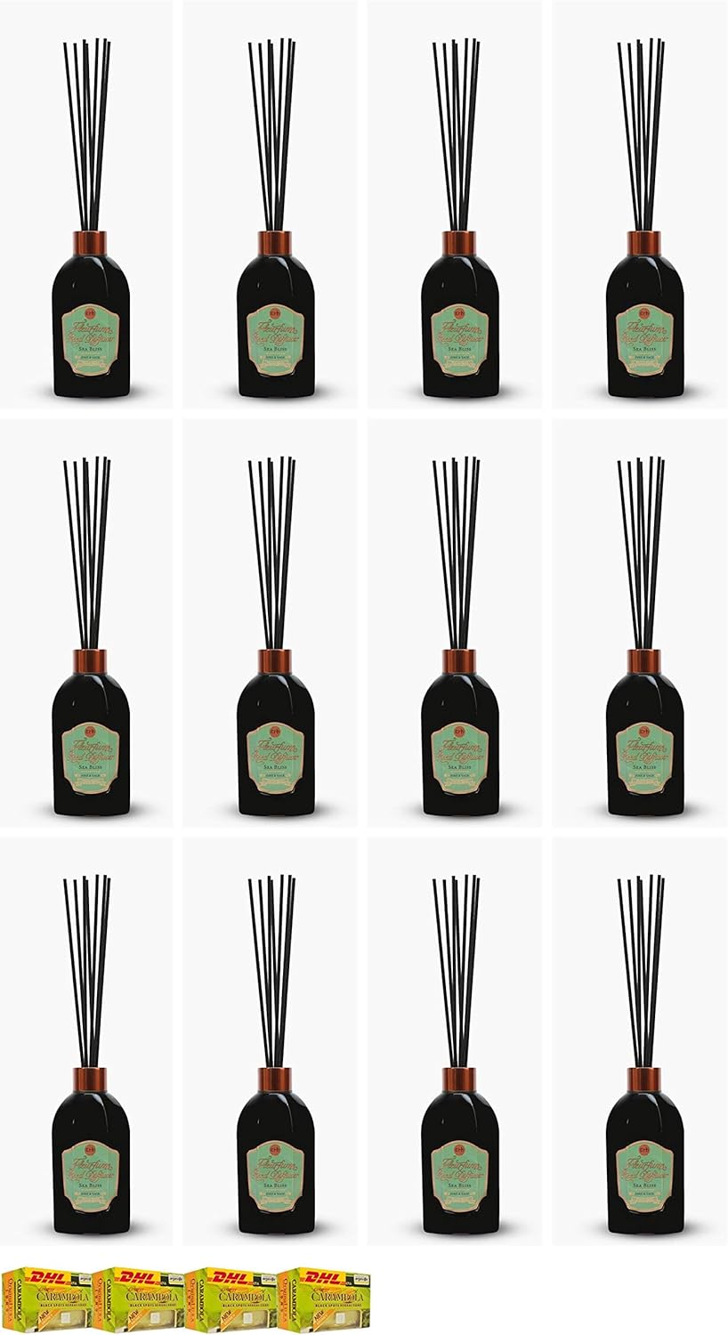 Havilah Set A85 by DHL Erbs ERB Sea Bliss Reed Diffuser by Beautygoodshop (Set of 12 Pcs) [Get Free for You Beauty Gifts] : Sports & Outdoors