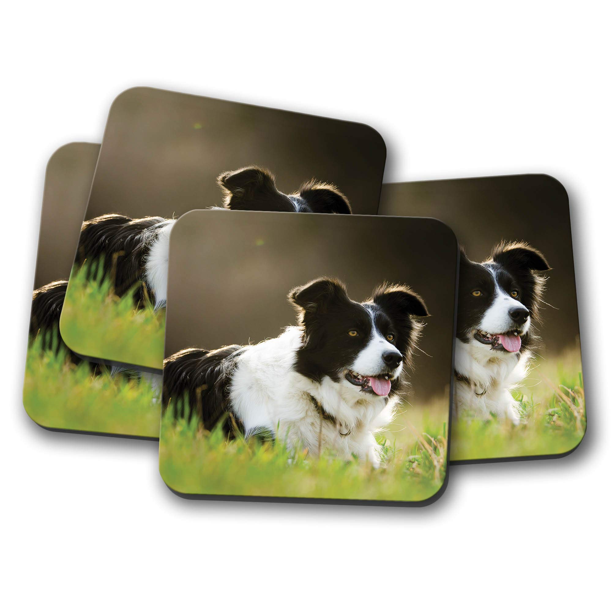 Destinationvinyl Multicolor 4 Set - Cute Border Collie Coaster - Sheep Dog Farm Farmer Puppy Fun #8614