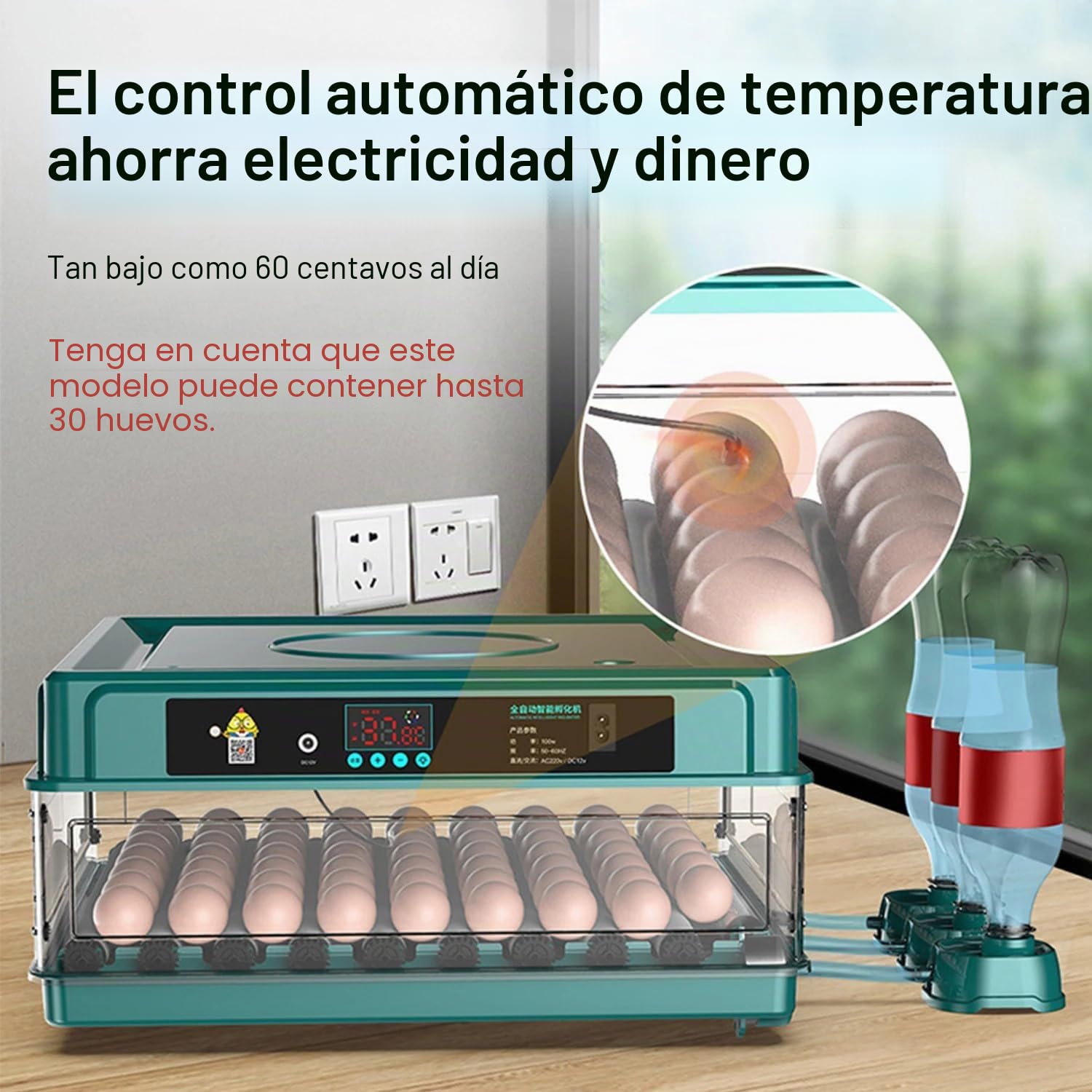 Incubadora Huevos Gallina,Incubadora De 24-36 Huevos Con Volteo Automático De Huevos y Humidificación Automática,Indicador De Humedad y Temperatura,Para Pollos,Codornices,Patos y Gansos