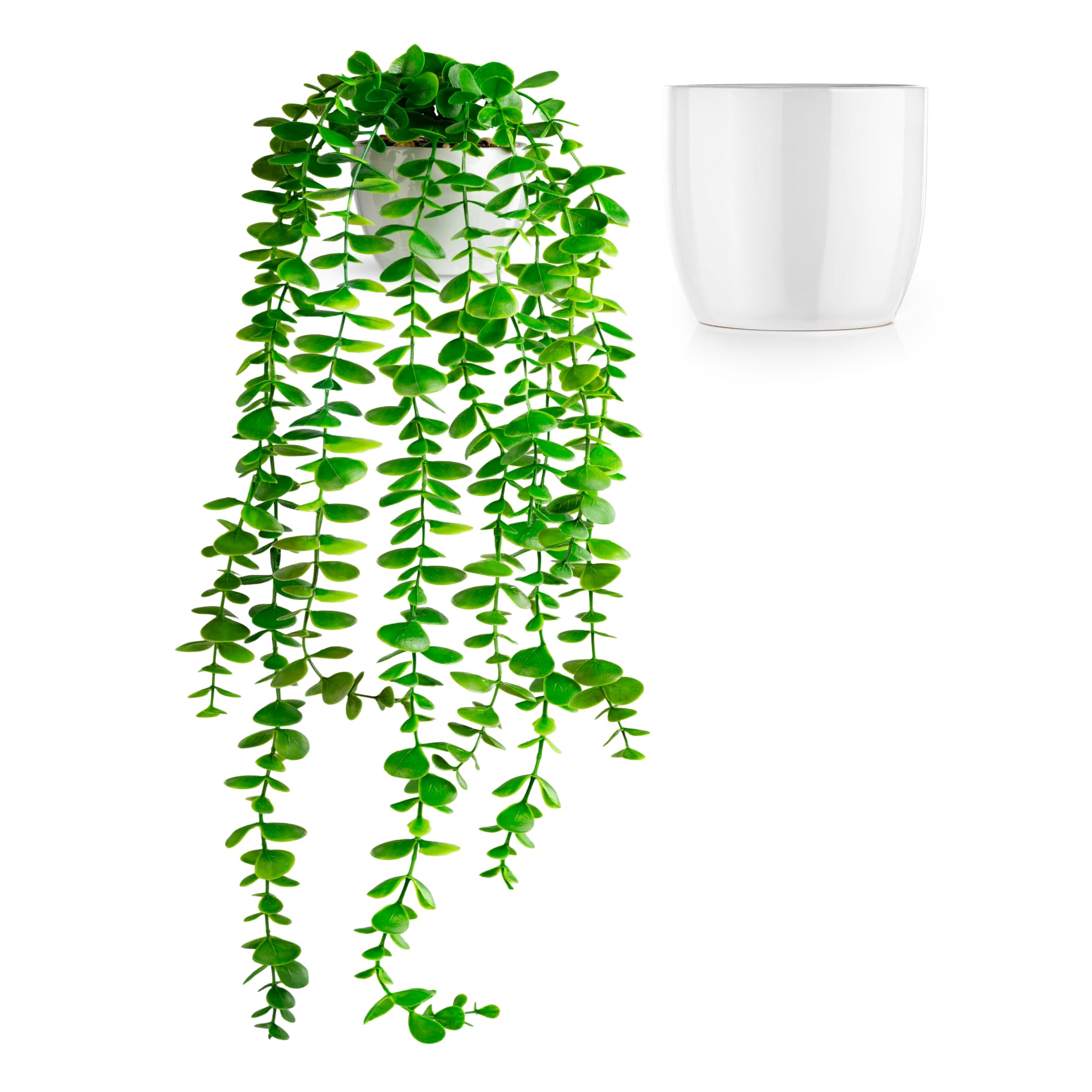 PASCH® Künstlicher Eukalyptus (60cm) in weißem Keramiktopf: Künstliche Hängepflanzen | künstliche Pflanzen wie echt | Kunstpflanzen hängend | Kunstpflanze hängend im Topf | Hängepflanze künstlich