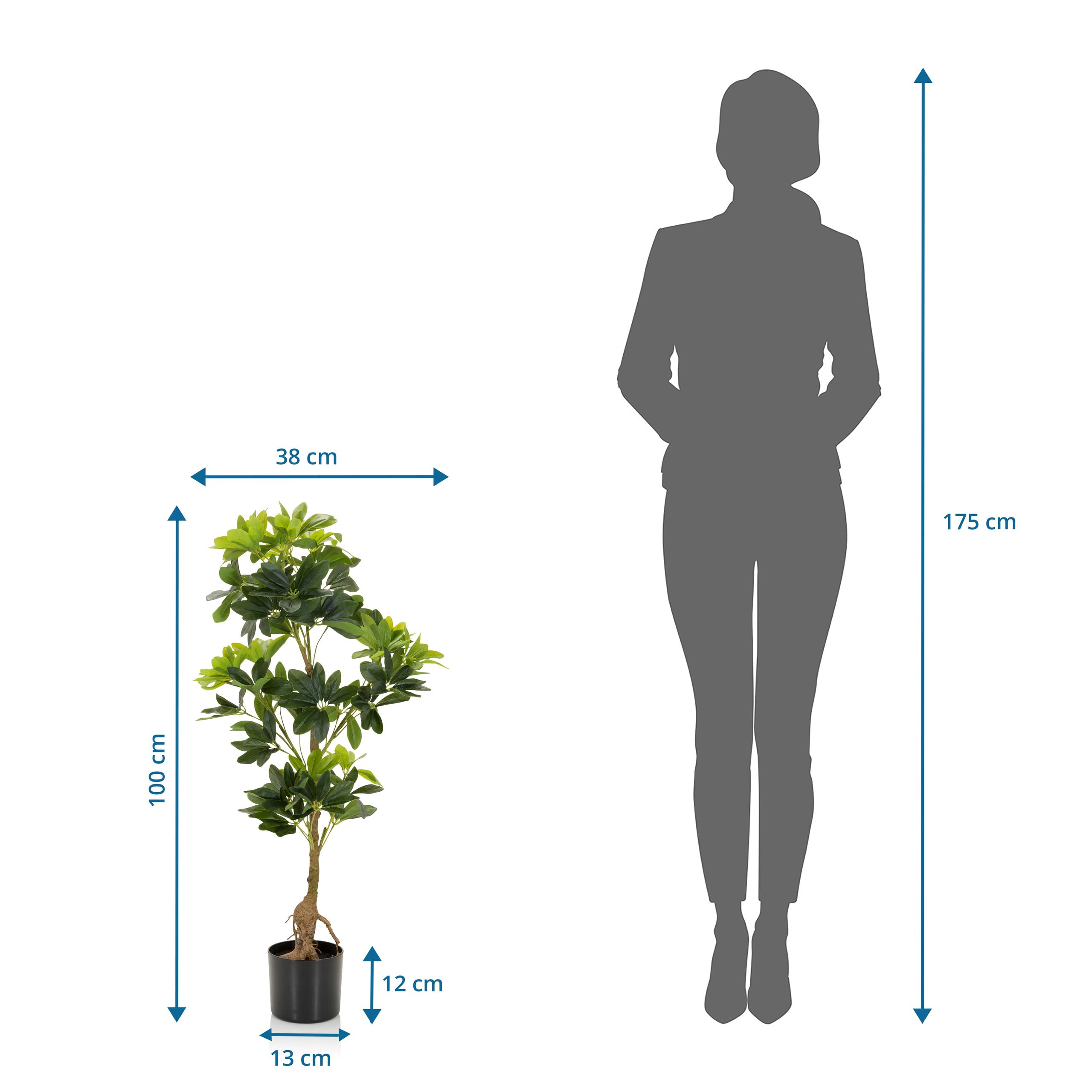 HJH Office 871015 Pianta artificiale SCHEFFLERA Aralia artificiale altezza 100 cm Pianta artificiale albero decorazione ambiente