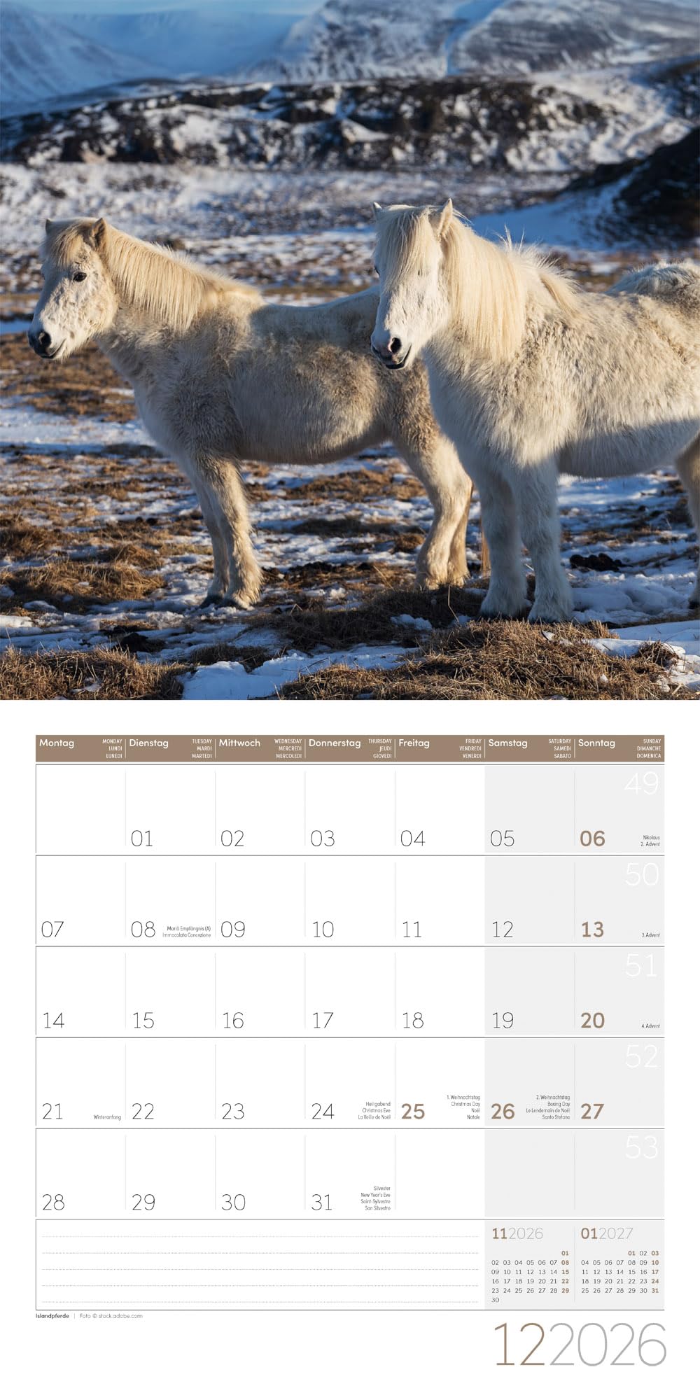 Pferde Broschürenkalender 2026 - 30x30 - Art12: Bildstarker Tier-Kalender im schlanken Hochformat (aufgeklappt 30x60 cm) | mit Eintrage-Kalendarium