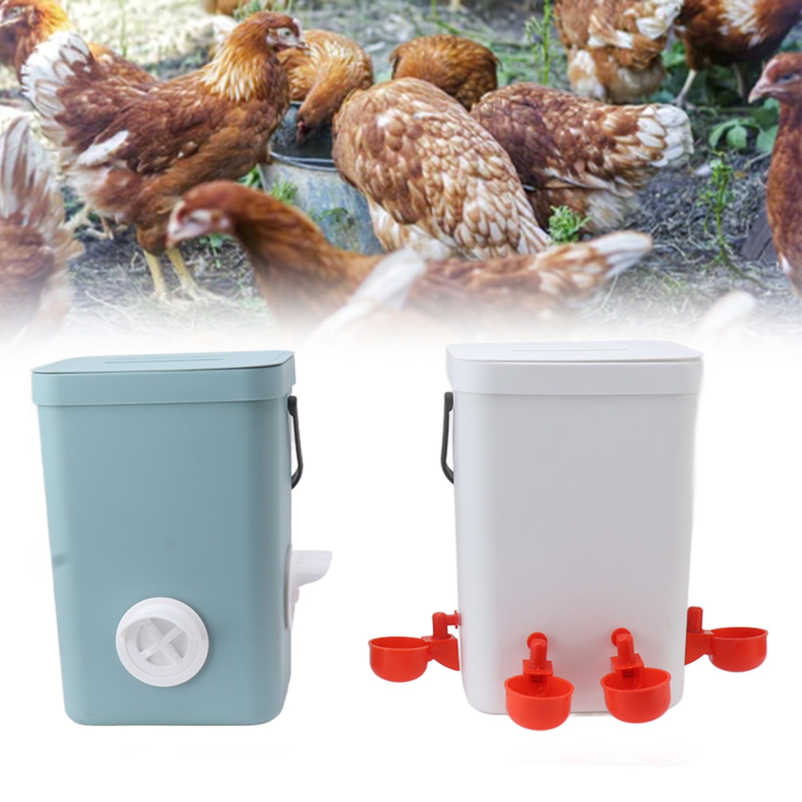 plplaaoo Juego de recipientes de alimentación para gallinas