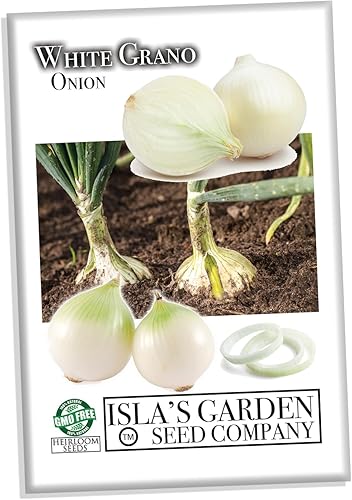Miniatura 2 de Semillas de cebolla granada blanca (Allium cepa) – Más de 500 semillas de día corto sin OMG de Isla's Garden Seeds, bulbos suaves dulces para