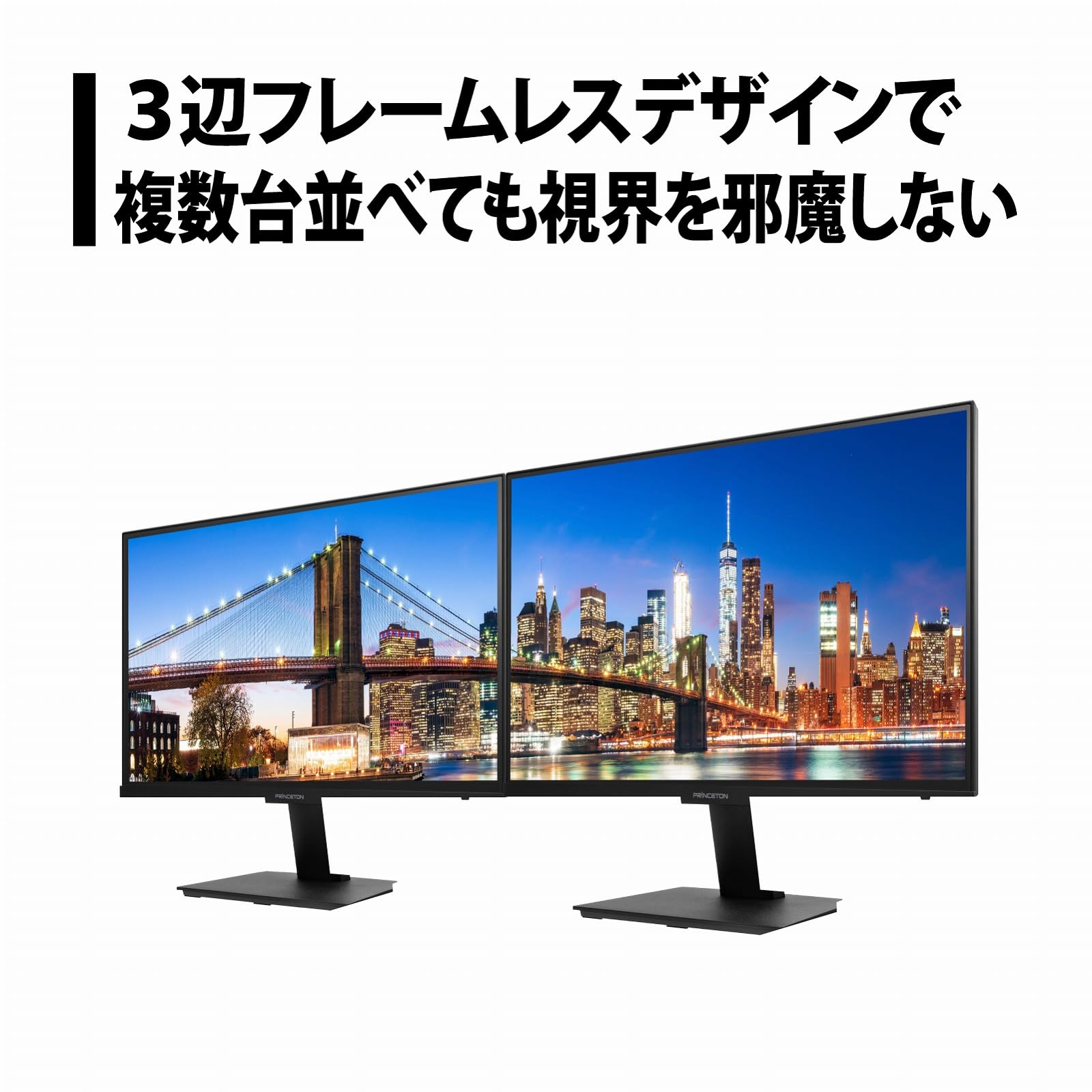 Amazon.co.jp: プリンストン(Princeton): モニター