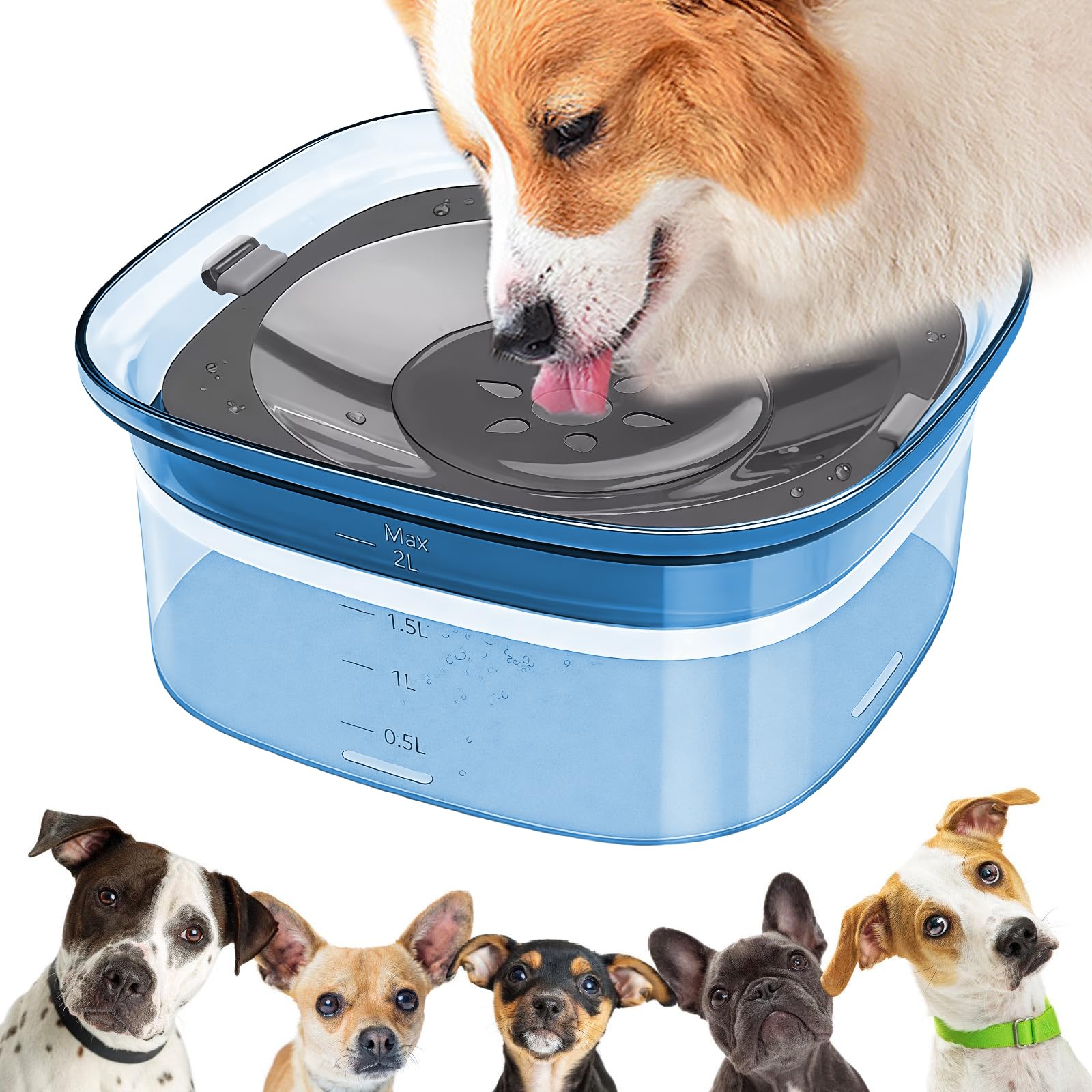 Bebedero antiderrames para perros: Bebedero de 2 l antibabas, para gatos y mascotas, a prueba de fugas y antideslizante, color azul.