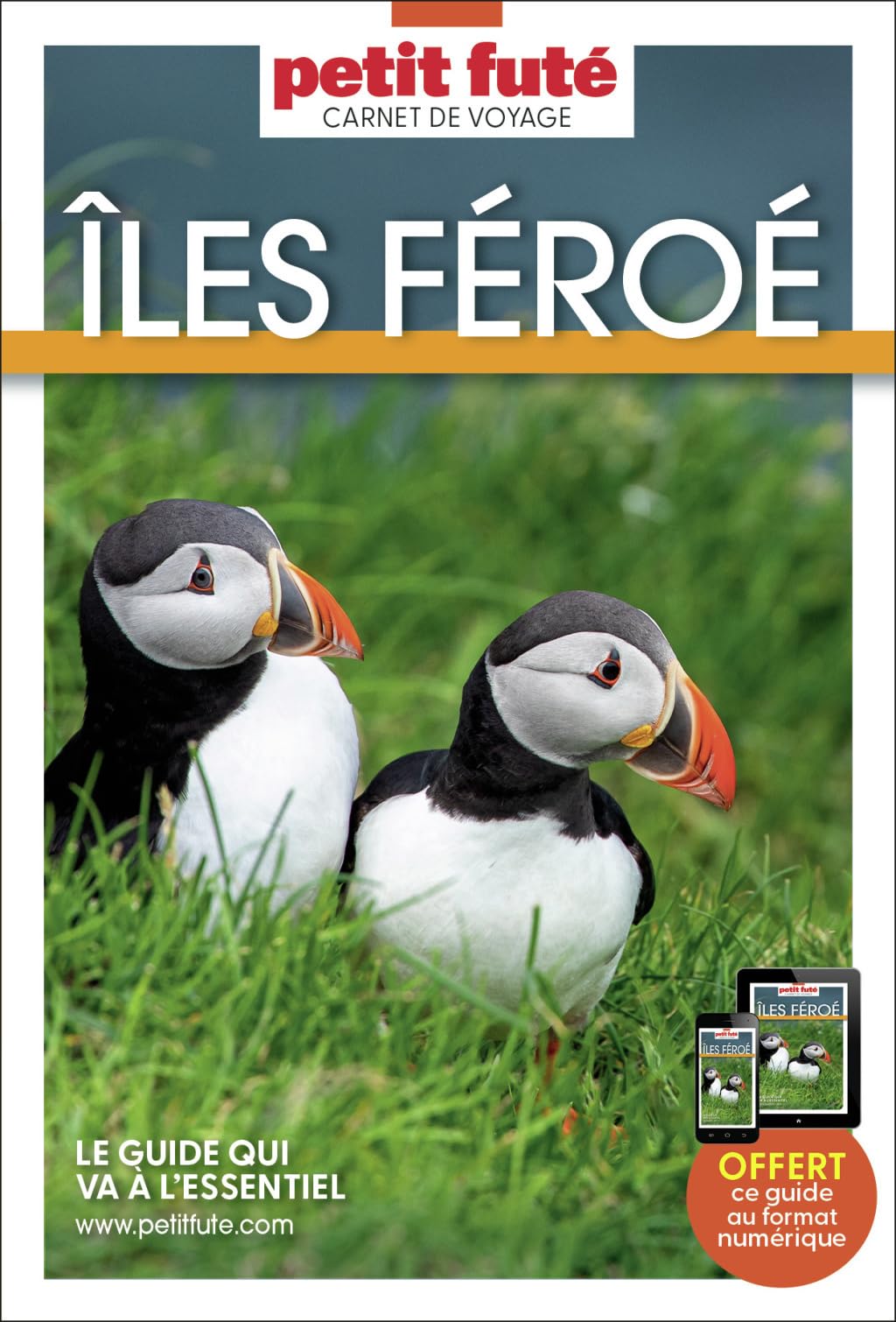 Guide Iles Feroe 2026 Carnet Petit Futé (2026)