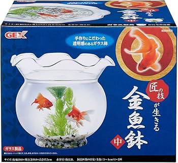 Amazon | ジェックス 匠の技が生きる金魚鉢 中 | GEX | 金魚鉢 通販 Amazon | ジェックス 匠の技が生きる金魚鉢 中 | GEX | 金魚鉢 通販