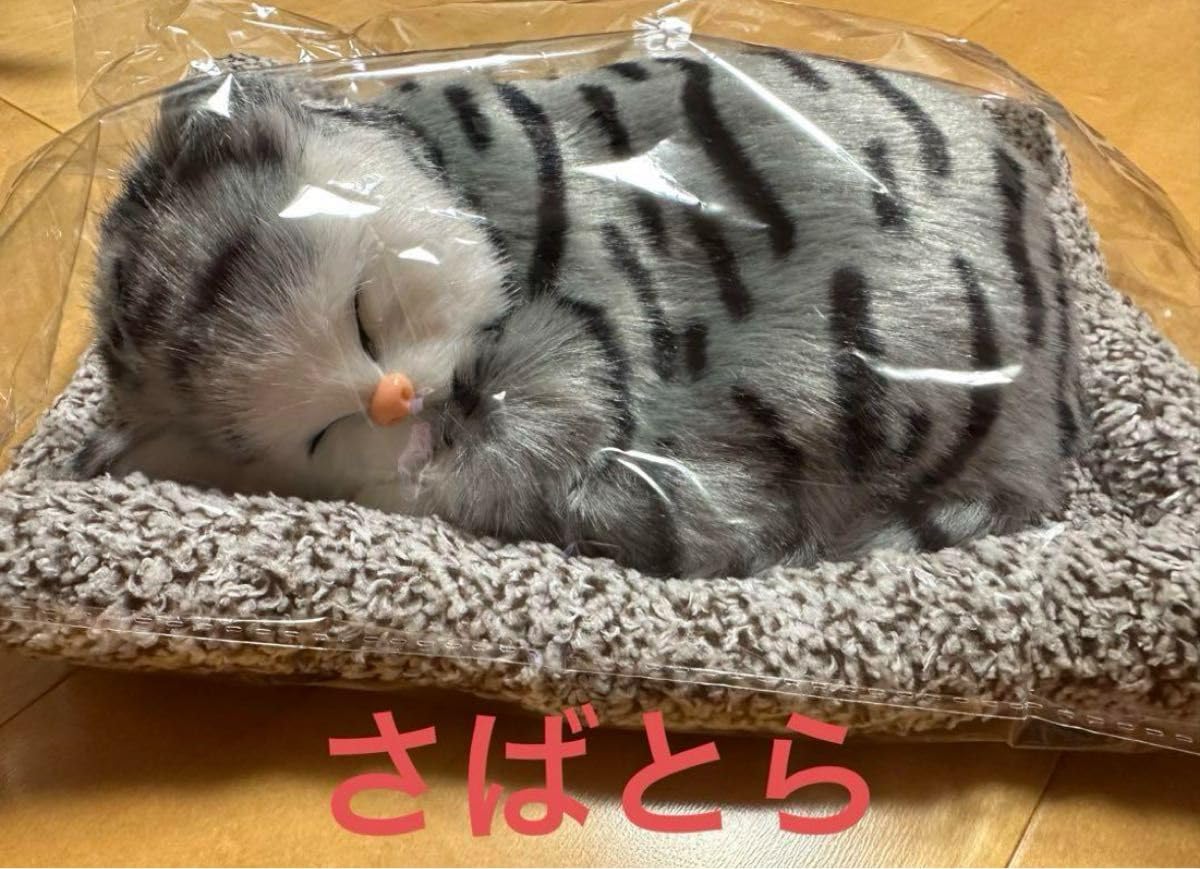 Amazon.co.jp: スヤスヤおねむりねこちゃん : ホーム＆キッチン