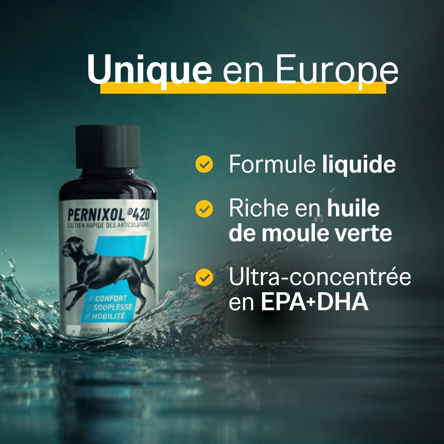 PERNIXOL®420 - Soutien articulaire Chien +20kg - Huile de Moule Verte & Oméga-3 - Mobilité et Confort - Cure 3 Mois (Lot de 3)