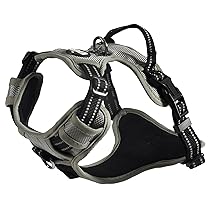 Bobby Rando Walk – Pettorina per cani Taglia XS, in Nylon Riflettente, Fibbie Regolabili a Chiusura Sicura, Facile da Indossare, Grigio Girocollo 20-32 cm, Giropetto 36-43 cm