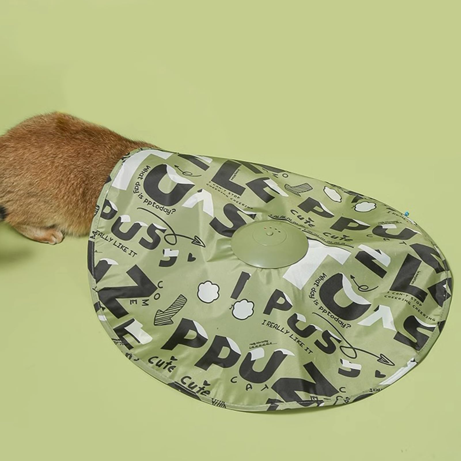 Jouet interactif pour Chat Automatique taquin Stimulation
