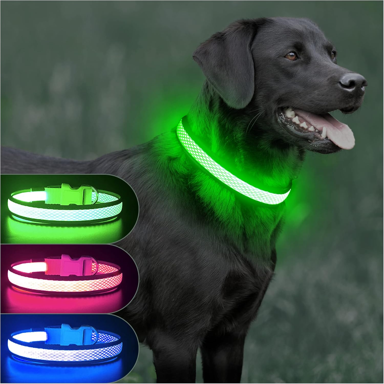 led dog collar rechargeable