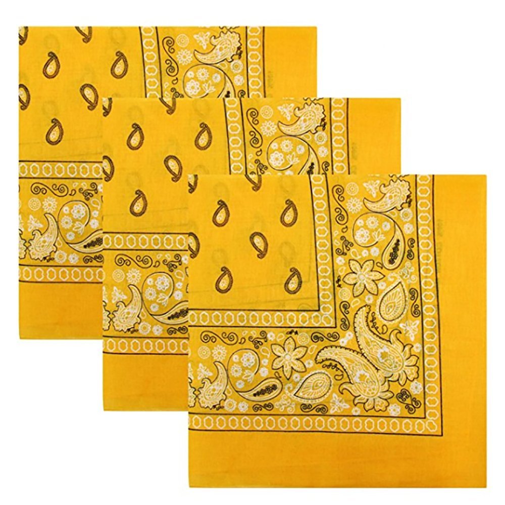 KaiserPaisley 3 piece Assorted Cotton Bandanas