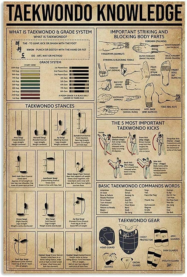 rayprint Tin Poster Retro Club Decor Beginner Taekwondo Knowledge Metal Signs Home Room Decor So That Children Can Gain Knowledge In Daily Life 12x16 Inches