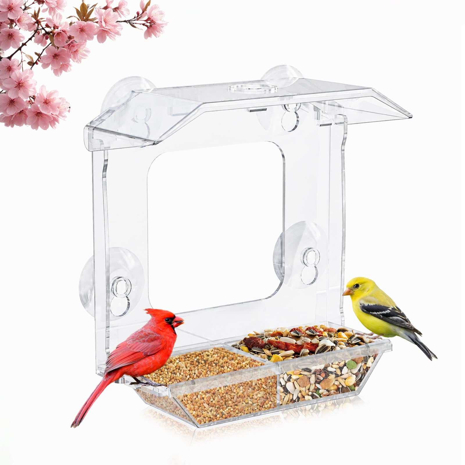 JICYOUP Window Bird Feeder with 4 Extra Strong Suction Cups (2.5 Inch)