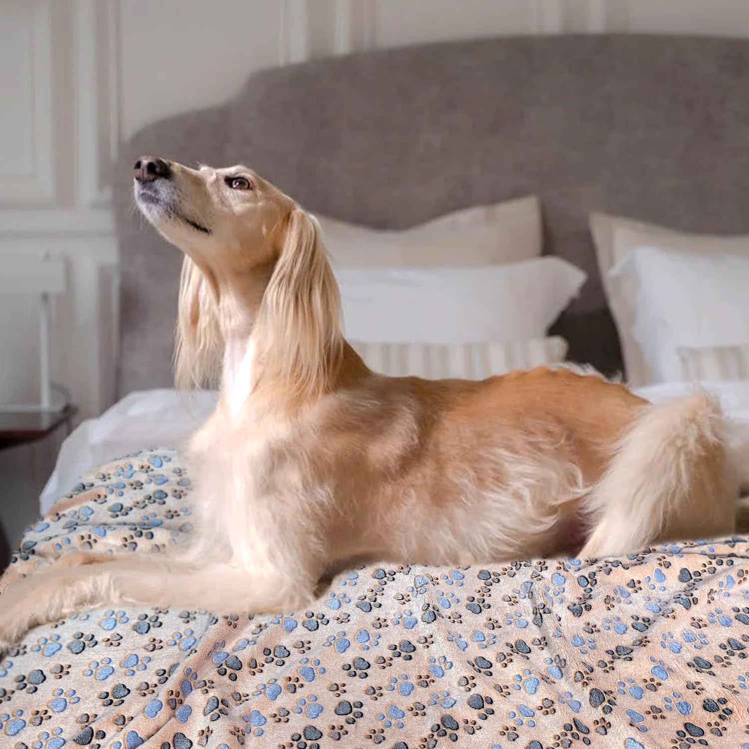 Dog Blankets for Large Dogs, 1 Pc Dog Blanket Washable, Soft Fluffy Flannel Pet Blanket Mat Cover for Bed Couch, Cute Print Puppy Blanket 60" x 50" - Image 8