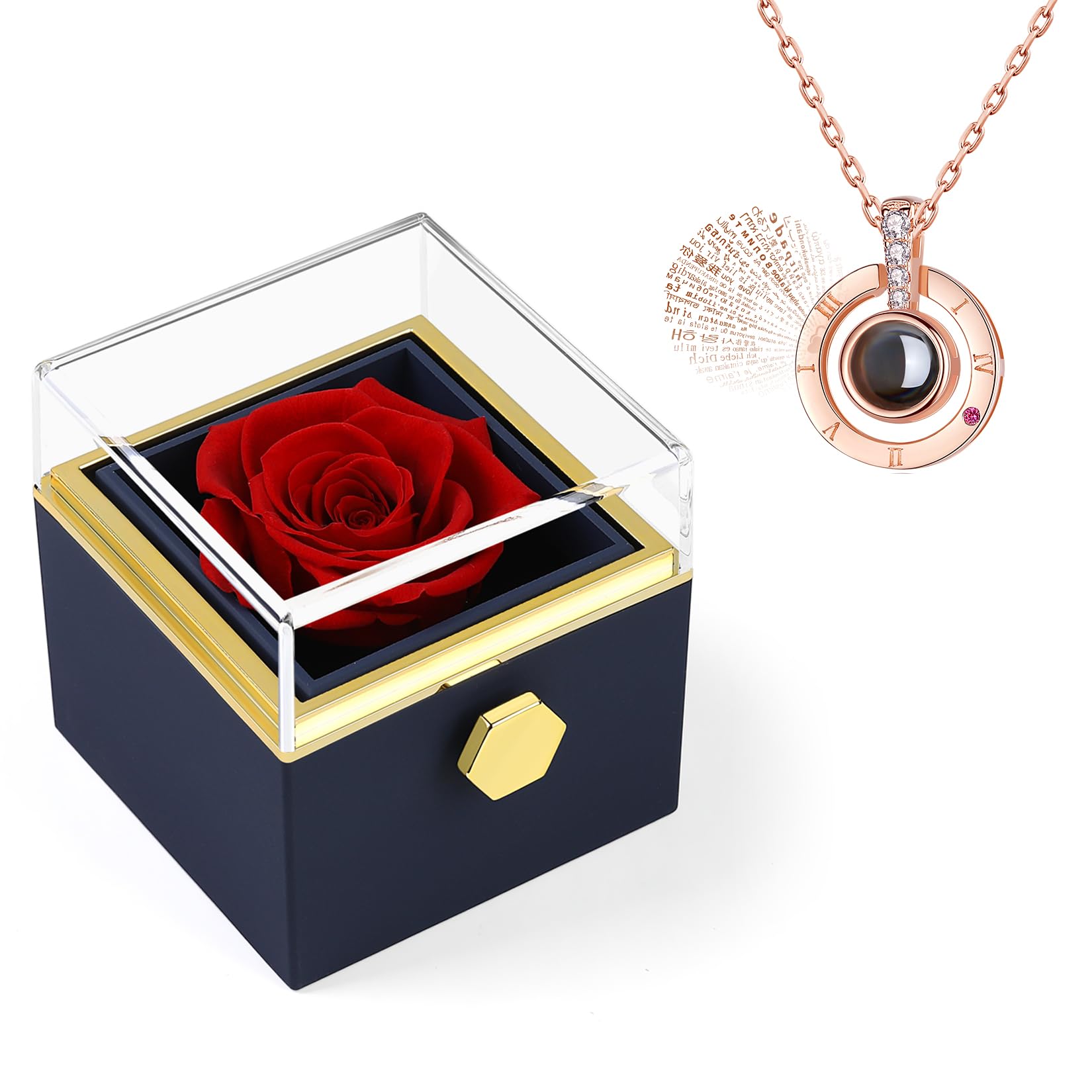 VIGG Gift for Her,Eternal Rose Box Preserved Flowers with 925 Silver Necklace, I Love You Romantic Present for She on Birthday,Valentines Day,Mothers Day