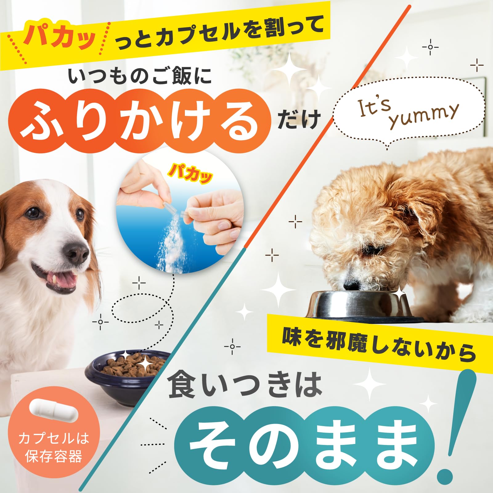Amazon.co.jp: NMN3年連続売上No.1企業が開発 犬用 NMN サプリ わん