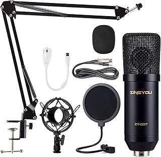 ZINGYOU Condenser Microphone Computer Mic Kit ZY-007 Professional Studio Recording Bundle for Streaming Gaming Broadcasting Singing Videos with Arm Stand Shock Mount Pop Filter and Sound Adapter Black