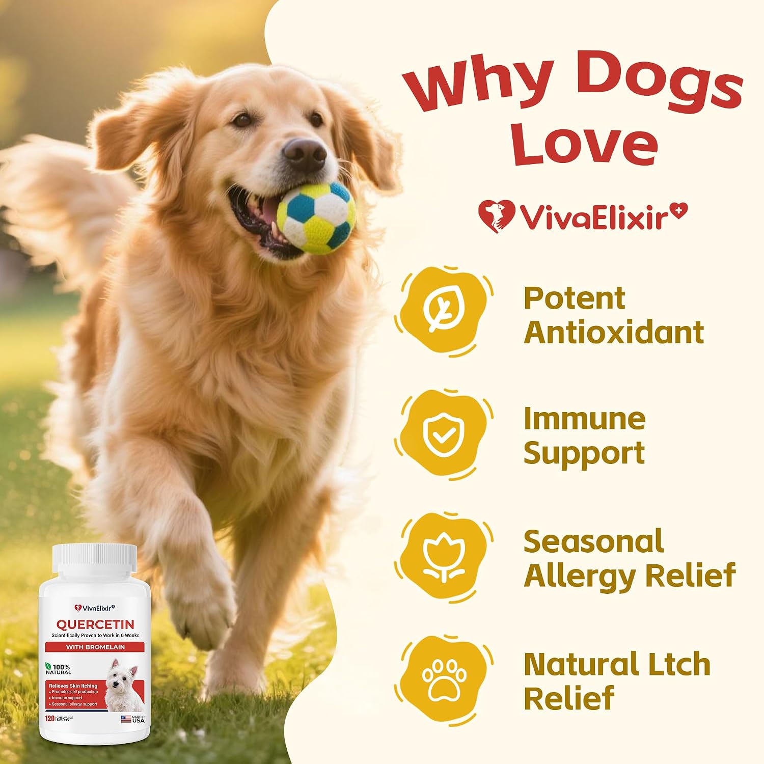 Quercetin & Bromelain Tablets for Dogs — for Skin Allergy, Atopic Dermatitis, Ear Infection Treatment & Joint Inflammation — Immune & Anti-Inflammatory Support — Vet-Formulated thumbnail