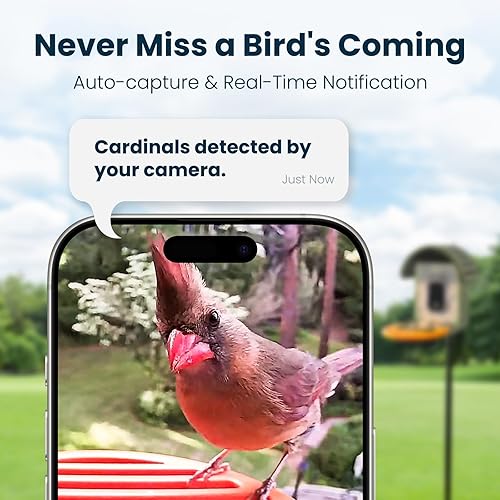Miniatura 5 de Comedero inteligente para pájaros con cámara, cámara de alimentación de pájaros UHD de 2.5 K con energía solar, identificación AI sensible, video de