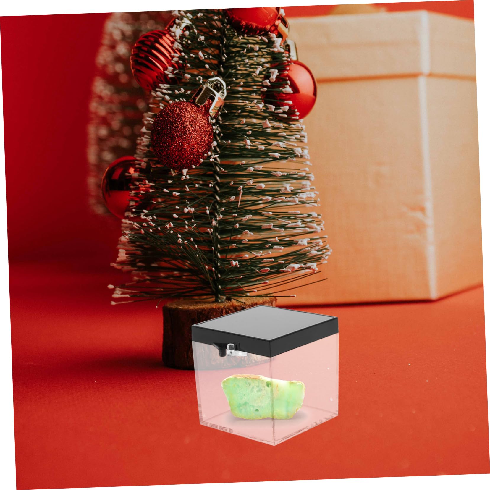 Unomor 6Pcs Clear Specimen Display Boxes for Minerals Crystals and Collectibles Storage Case with Lid Organizer for Sample Storage and Display