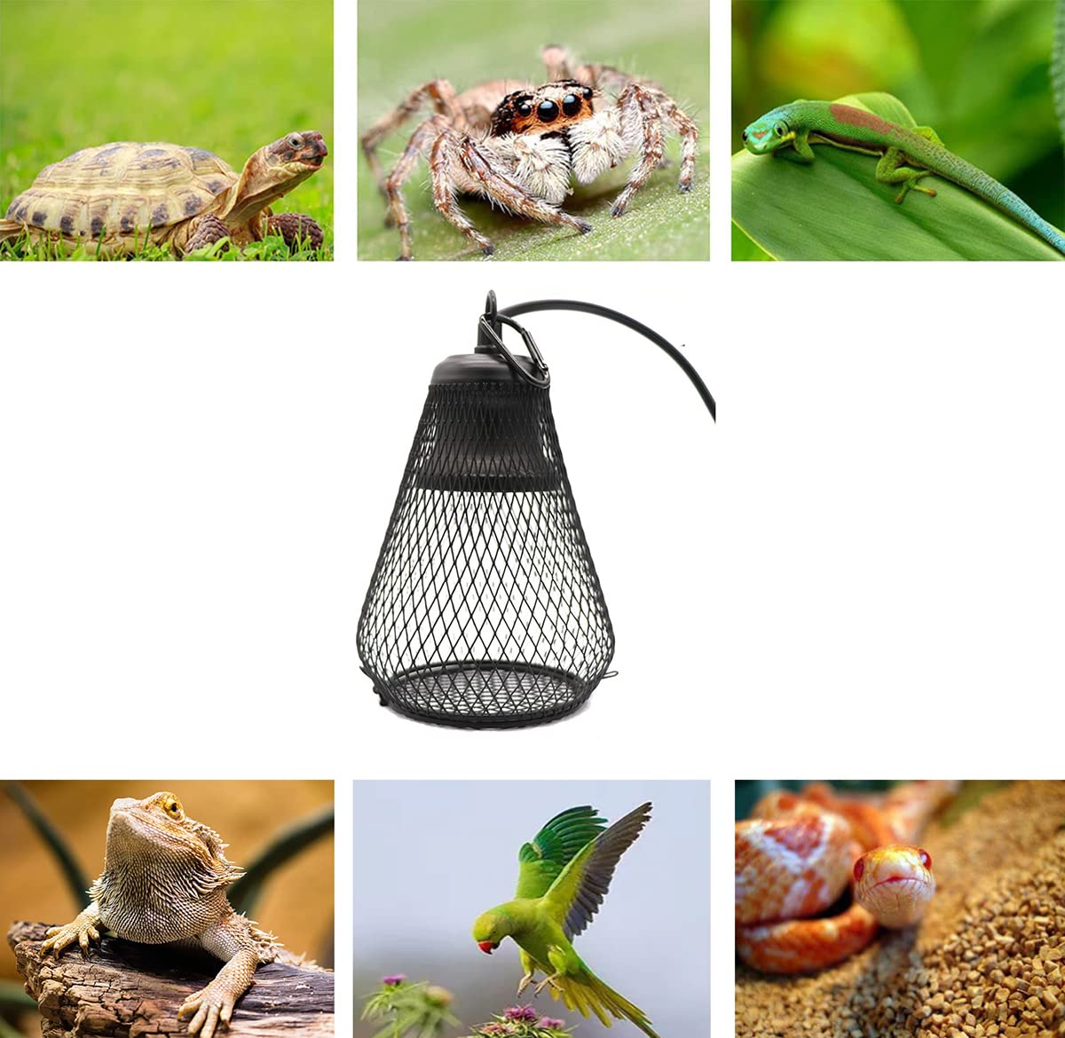 Lámpara De Calor De Reptil, Lámparas De Calor De Cerámica con Termostato, para Dragón Barbudo, Lagarto, Tortuga, Serpiente,75W