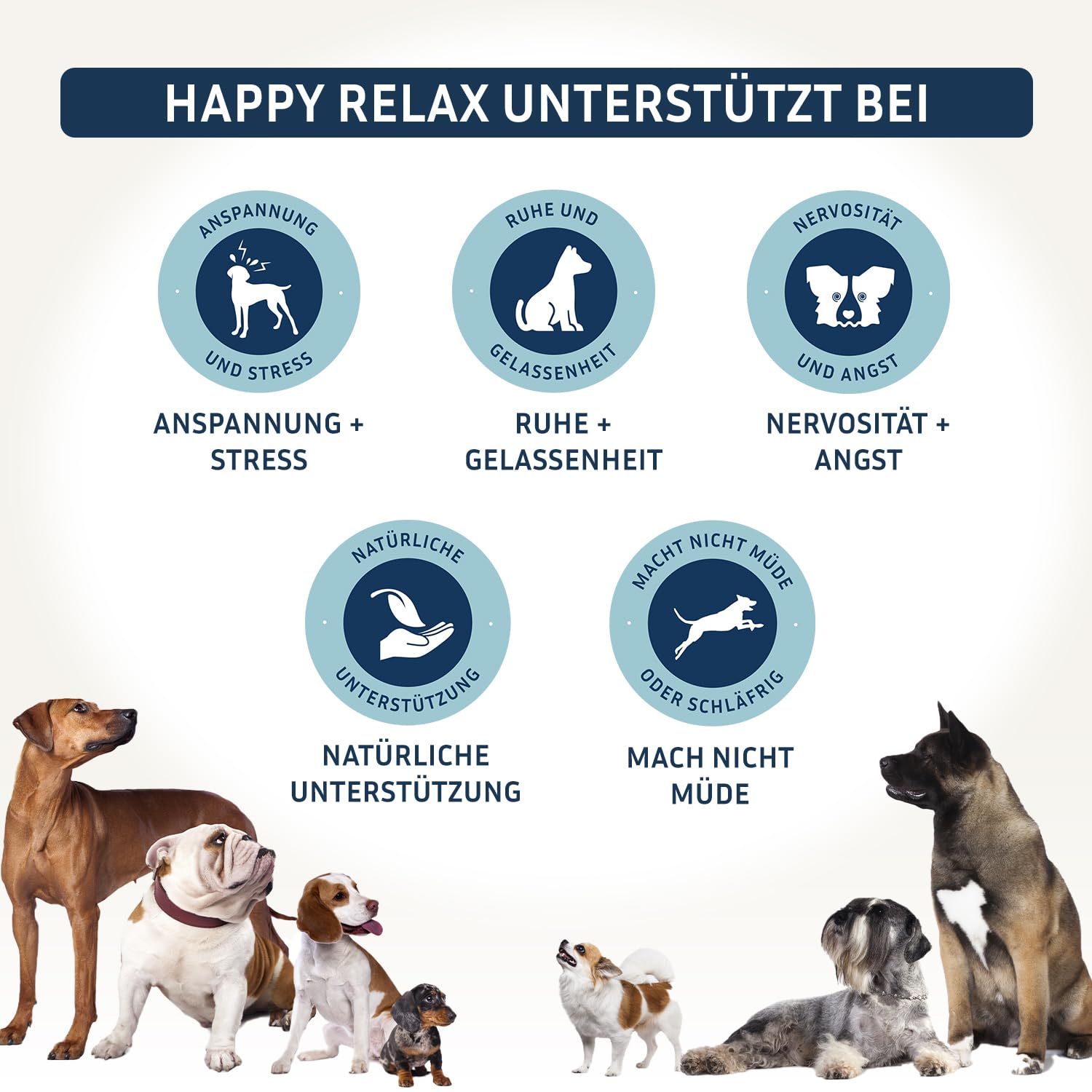 PetFokus Happy Relax Hunde Baldrian Melisse Grüntee Tryptophan Pulver 135 g