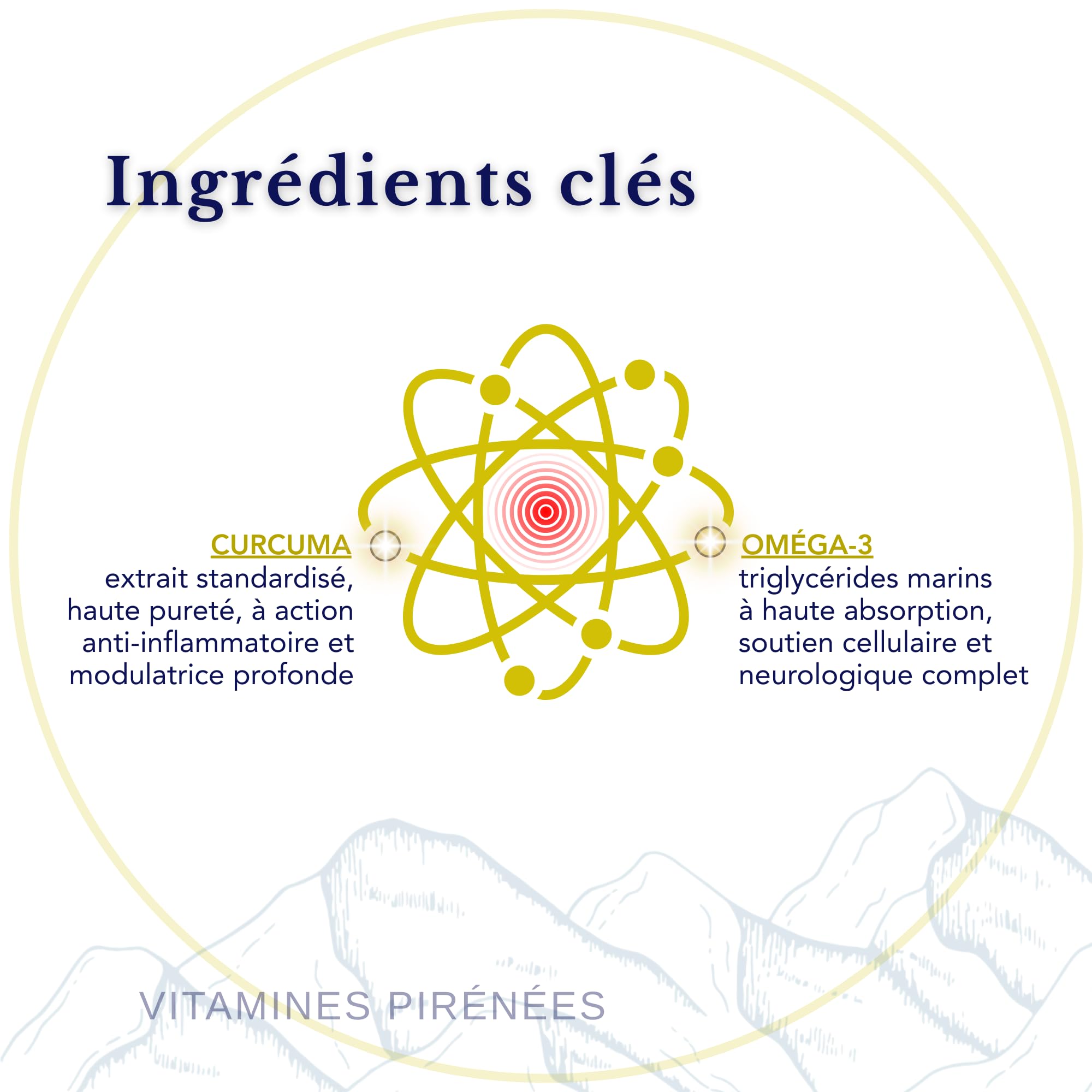 Oméga-3 et Curcuma avec Gingembre et Poivre Noir – Sans OGM, PHYTO GUIDE | Formule essentielle pour le soutien immunitaire, réduit l’inflammation et aide le corps à rester en équilibre | 56 Doses Quot