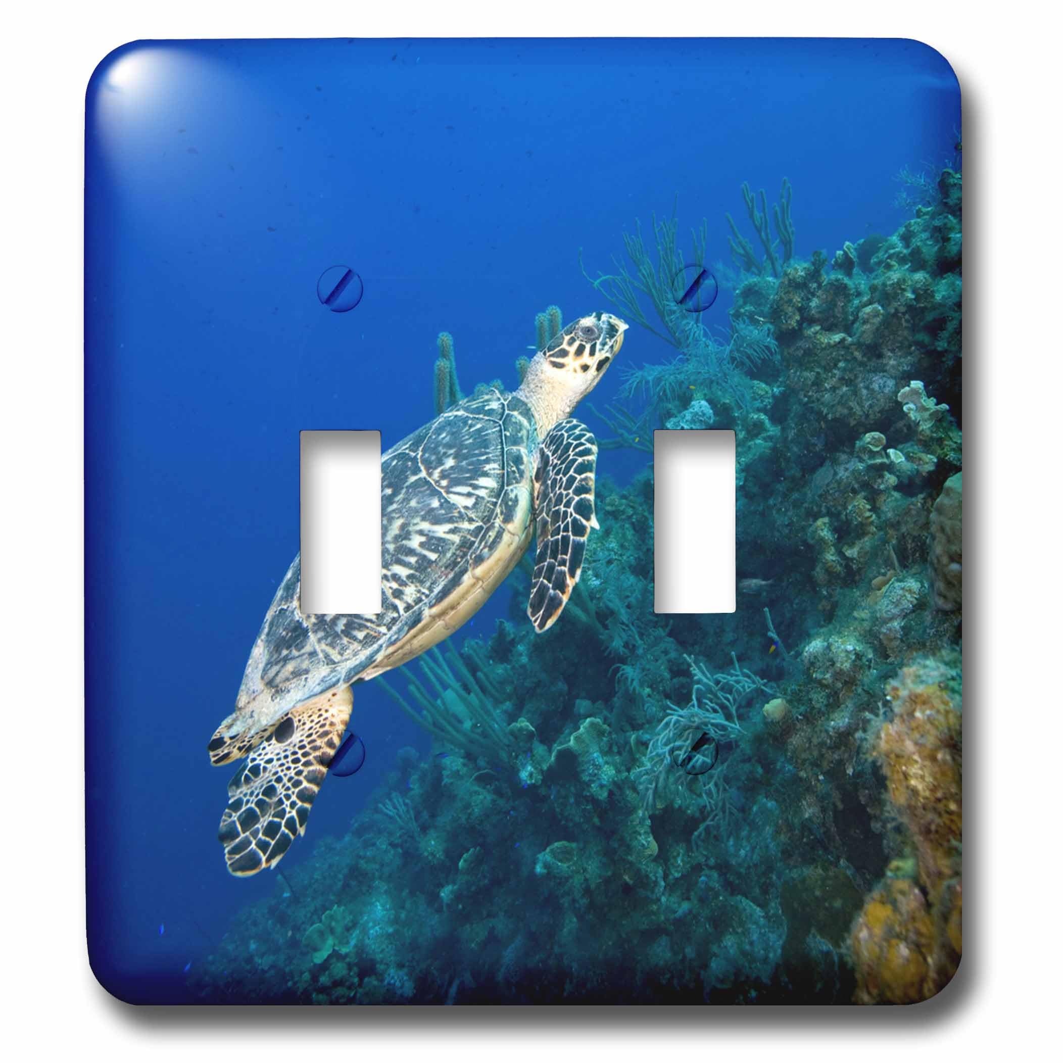Interruptor doble de Islas Caimán con diseño de tortuga Hawksbill 3dRose lsp_74847_2