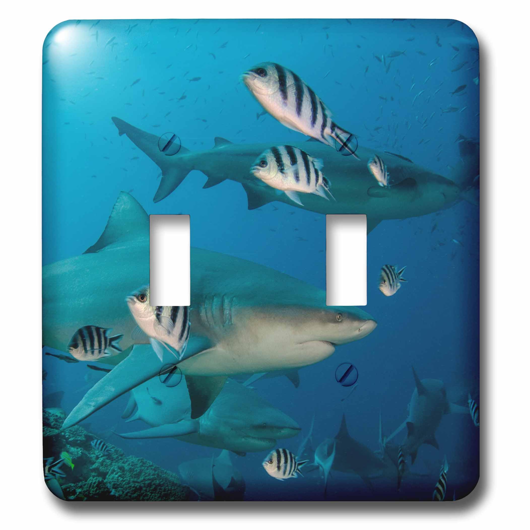 Double interrupteur Bull Shark 3dRose LSP_228482_2 Fidji