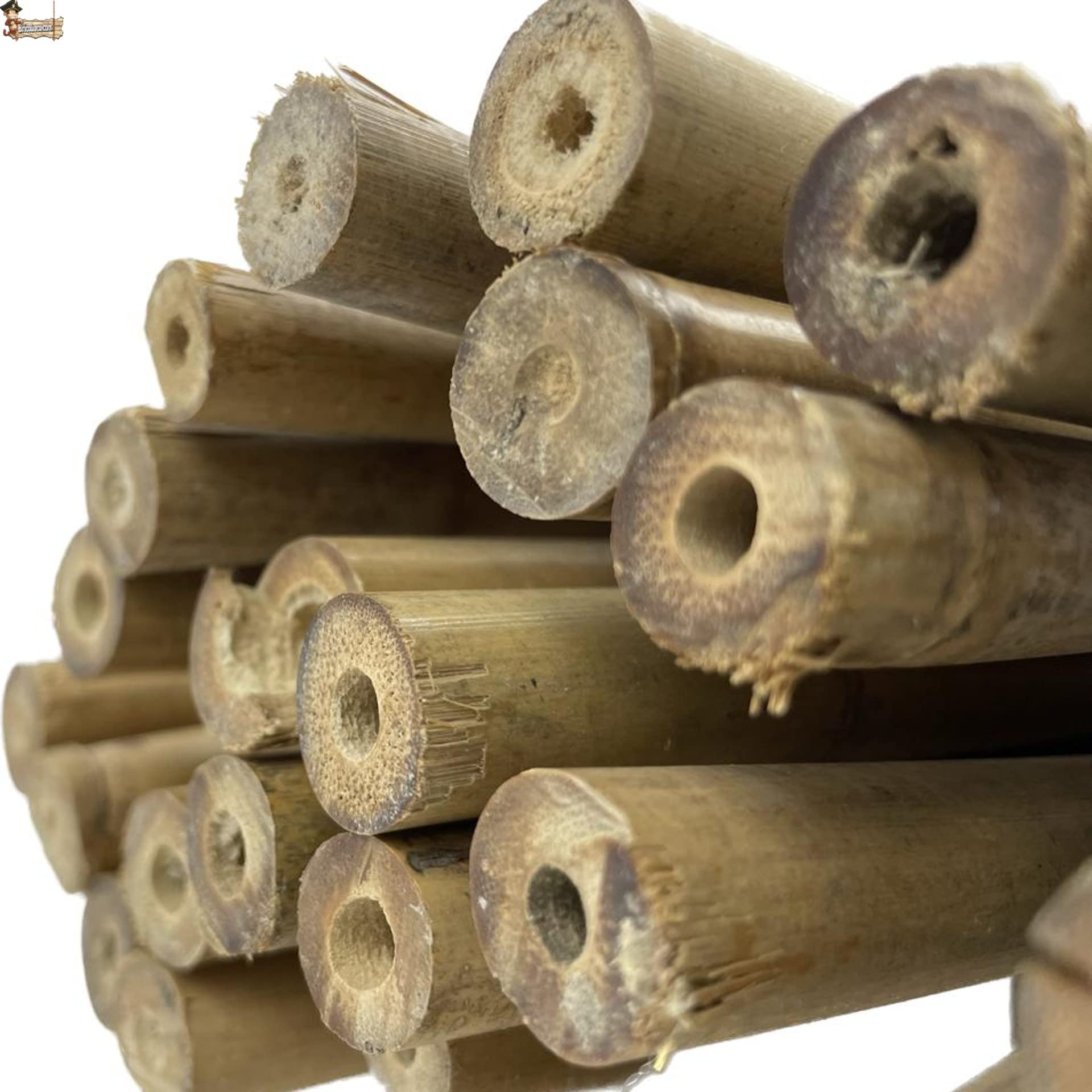 BricoLoco.com Tutores de Madera para Plantas. 25 uds. de 1,80 MTS. Caña Varilla Tutor caña de bambú Redondo para Soporte, guiar y entutorar árboles, Plantas, Tomates. (25, 1,80 MTS, Ø 16/18 mm)