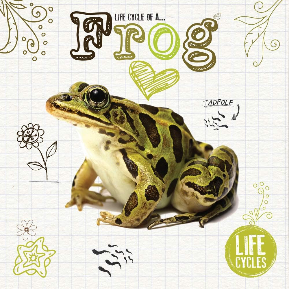 Life Cycle of a Frog Paperback – April 1, 2019