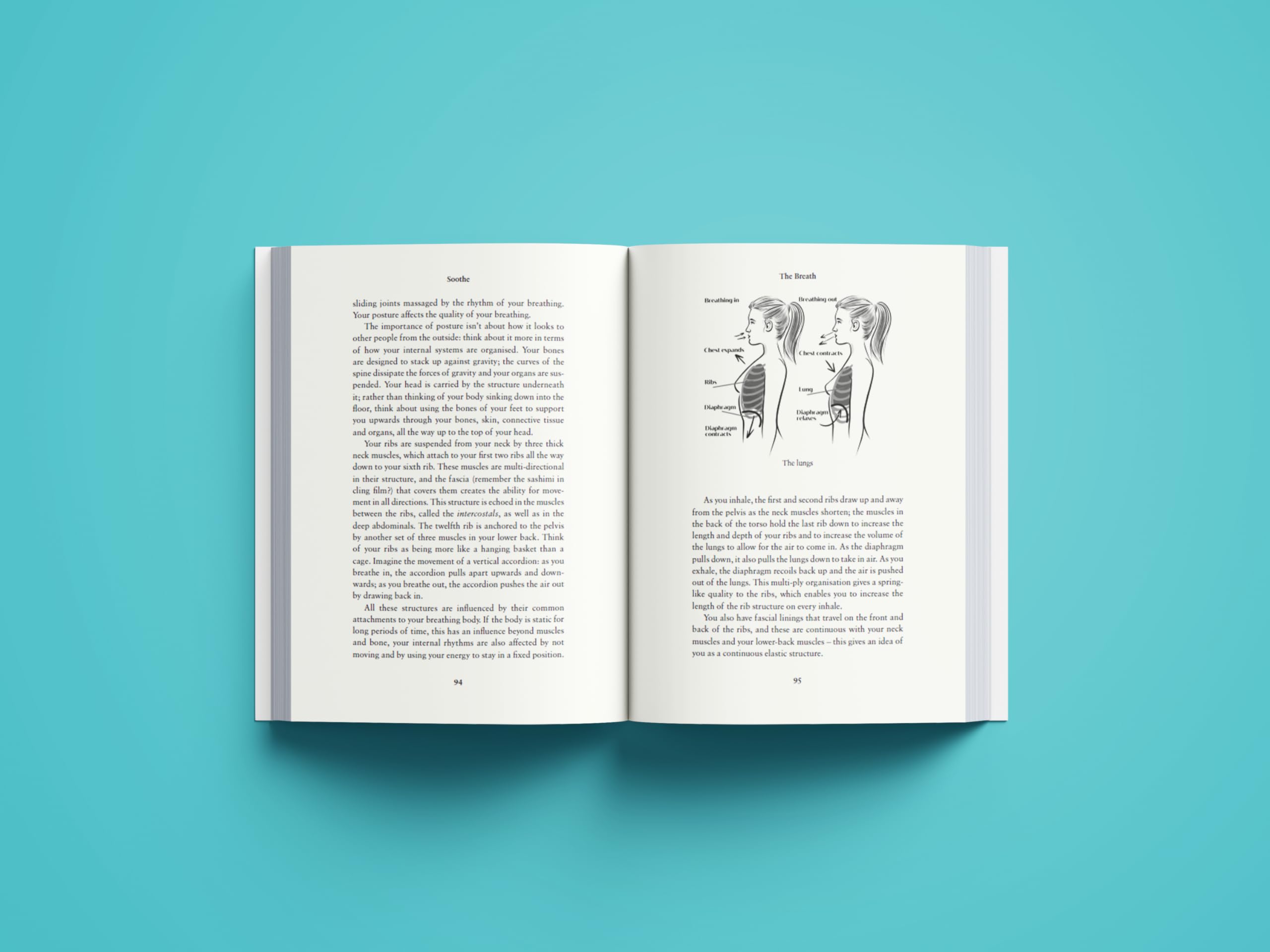 Soothe: The book your nervous system has been longing for