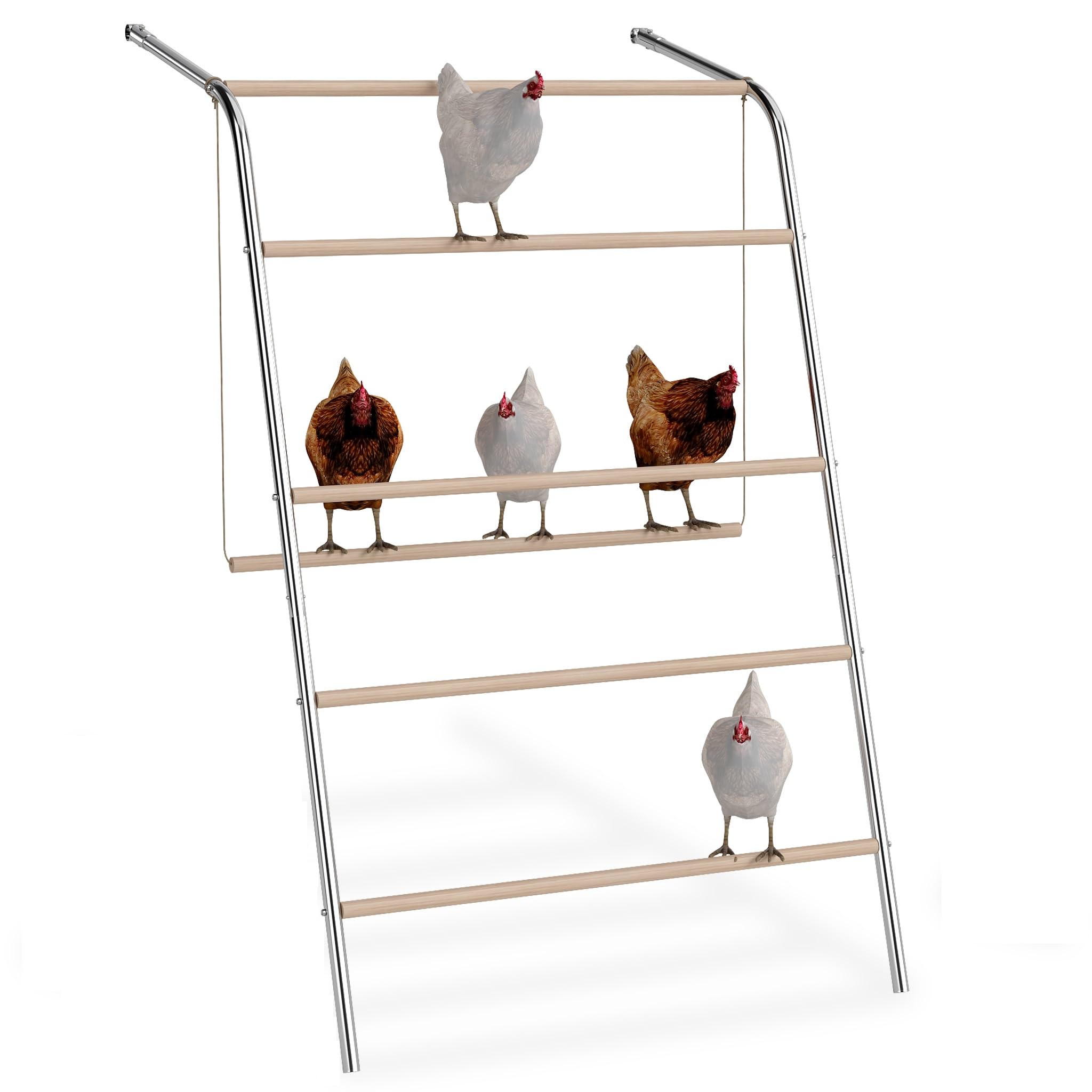 FIVMEN Balançoire pour poules à 5 niveaux - Perchoir en bois - Échelle - Perchoir - Jouet pour aire de jeux - Accessoires pour poulailler - Enclos libre