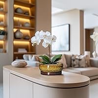 Vista 5 de Macetas pequeñas para bonsái, macetas de cerámica para suculentas de 6 pulgadas con orificio de drenaje y platillo, maceta redonda poco profunda