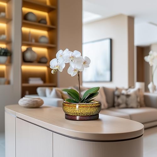 Miniatura 5 de Macetas pequeñas para bonsái, macetas de cerámica para suculentas de 6 pulgadas con orificio de drenaje y platillo, maceta redonda poco profunda