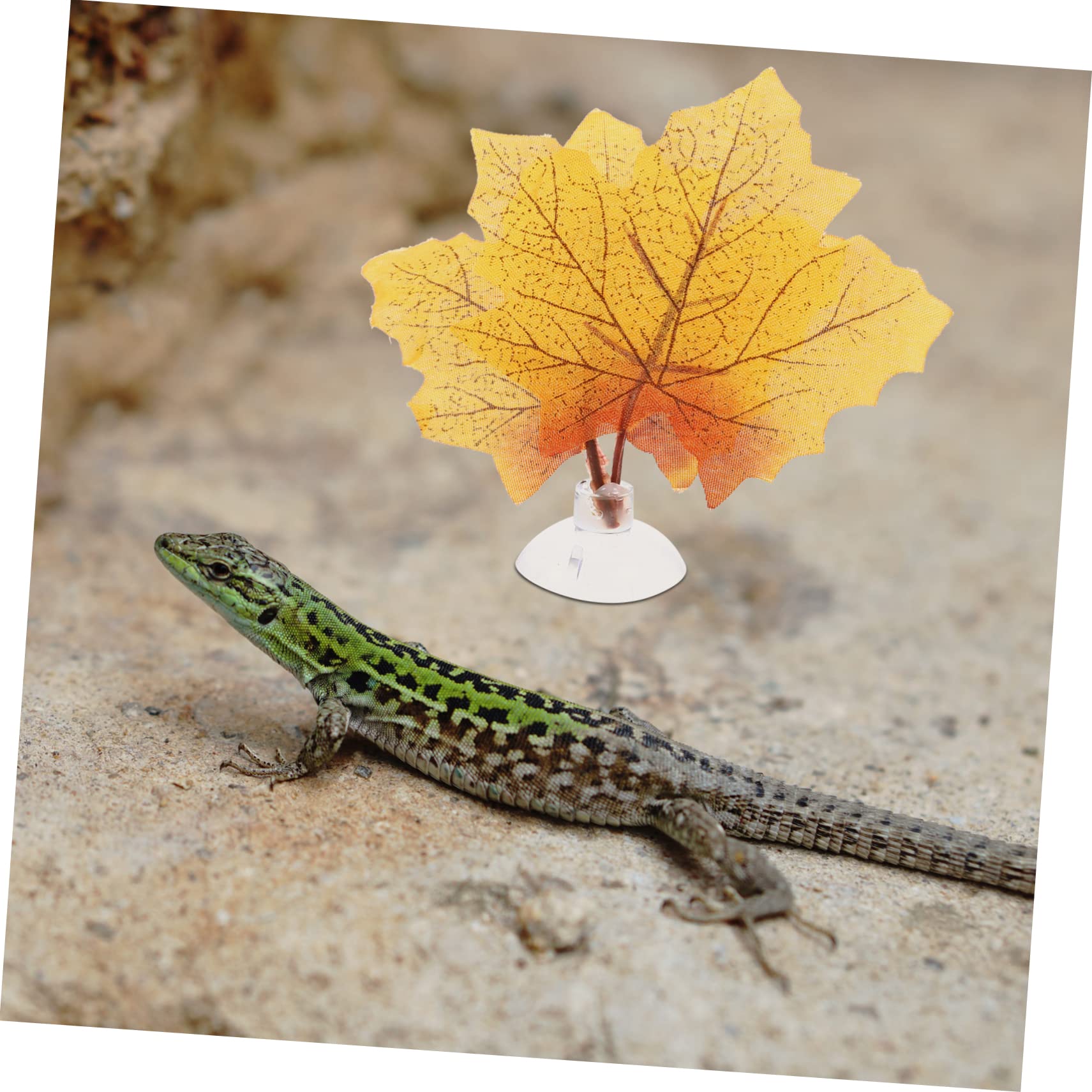BESPORTBLE 25piezas Plantas Simuladas Decorativas para Terrario De Reptiles Artificiales para Acuarios Decoración De Hábitats De Reptiles y Peces Ventosas para Fijación