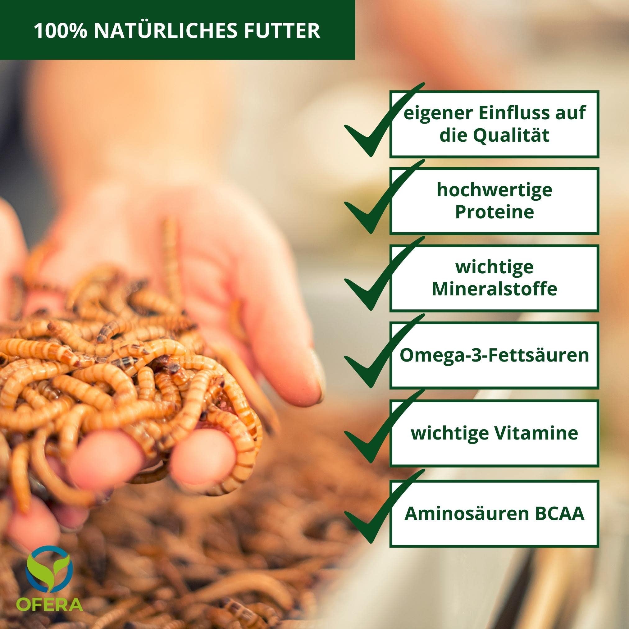 OFERA Mehlwurm Farm Zucht für Mehlwürmer Insekten Hühnerfutter Vogelfutter Wildvögel ganzjährig Fischfutter Aquarium Wurmkiste Komposter Mehlwürmer lebend Futter Hühner Zubehör Kompost Dünger Bio