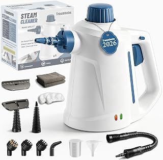 Dampfreiniger Handgerät,Steam Cleaner für alles,3 Bar /110 °C