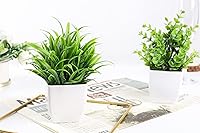Vista 6 de Der Rose Paquete de 2 pequeñas plantas artificiales en maceta para mesa, escritorio, hogar, baño, oficina, decoración