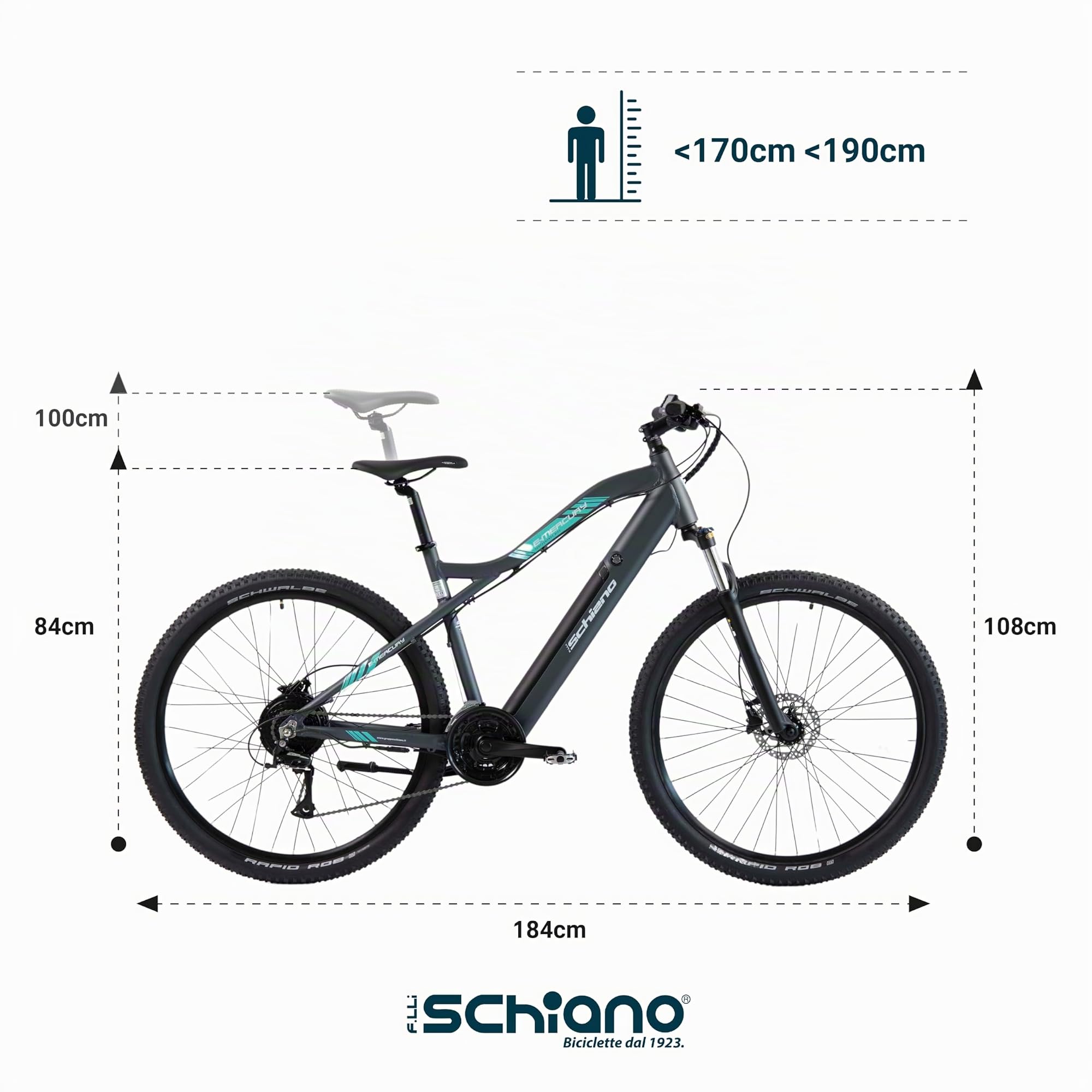F.lli Schiano E-Mercury, Bici Elettrica Mountain Bike 29 Inches per Adulti, 36V 11.6Ah Batteria Rimovibile, Motore 250W 50Nm, MTB Ebike
