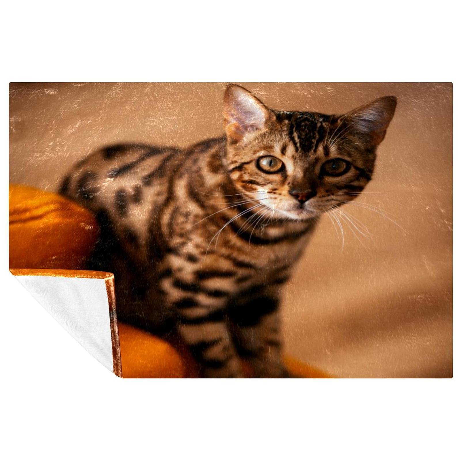 Couverture motif chat pour pique-nique et soirées cocooning sur le canapé