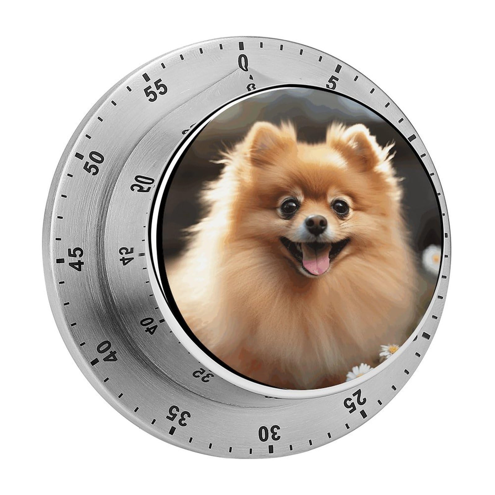Pomeranian Dog Mechanical Kitchen Timer, Magnetic Stainless Steel Countdown Timer, Loud Alarm Cooking Timer for Baking, Cooking, Fitness, Classroom, No Battery Needed