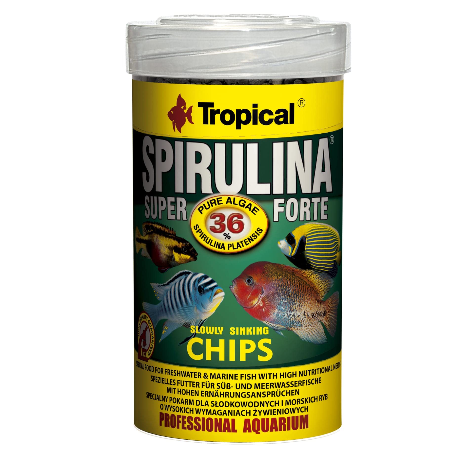 *SUPER SPIRULINA FORTE CHIPS 100ML52G
