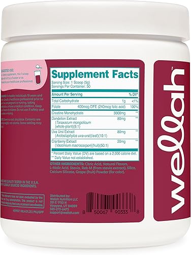 Miniatura 36 de Wellah Creatina para mujer - Monohidrato de creatina con diente de león y extracto de arándano (50 porciones, sandía granizado)