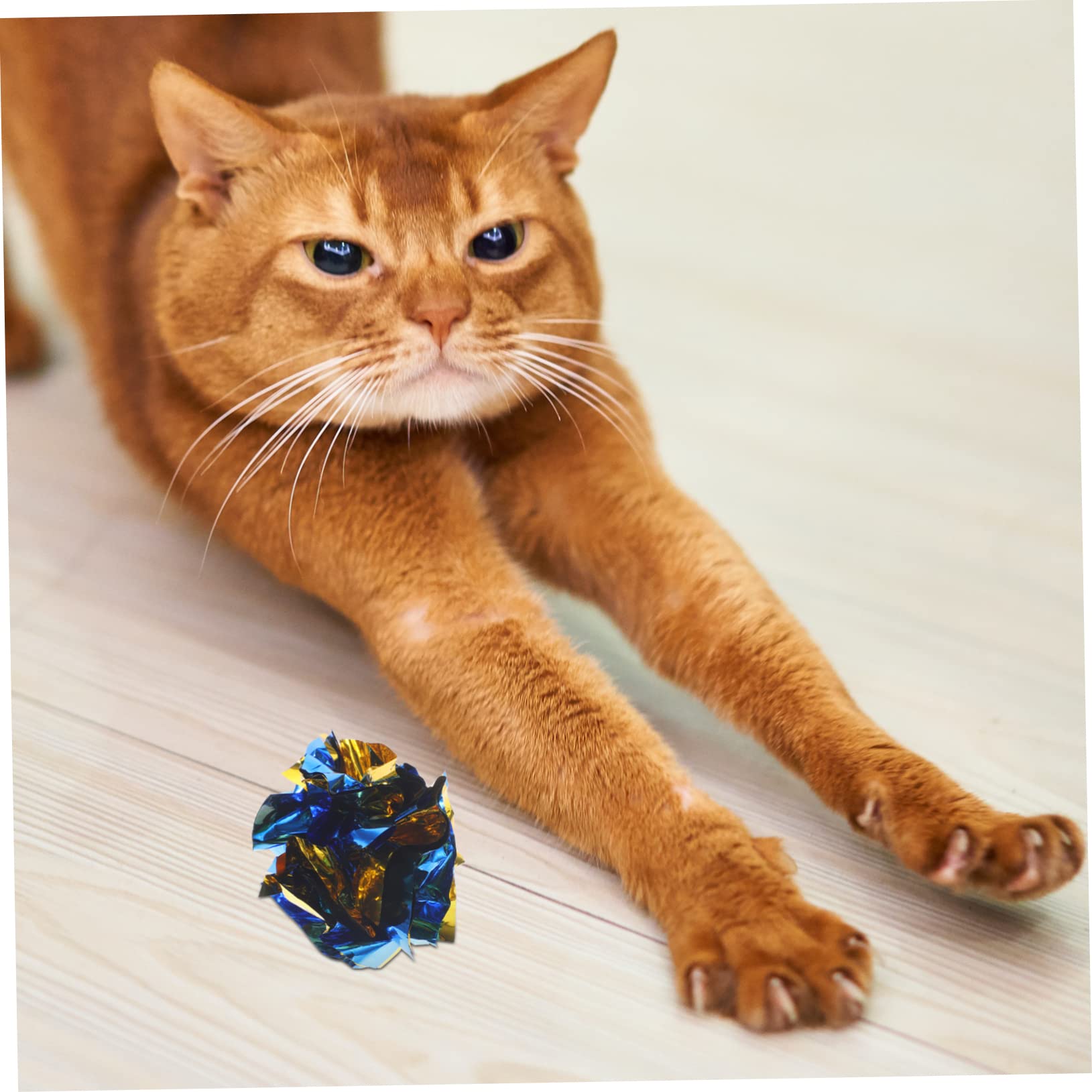 Kisangel 5sets Katze Interaktive Crinkle Für Indoor Katzen Kätzchen Hüpfspielzeug 20 Stücke * 5