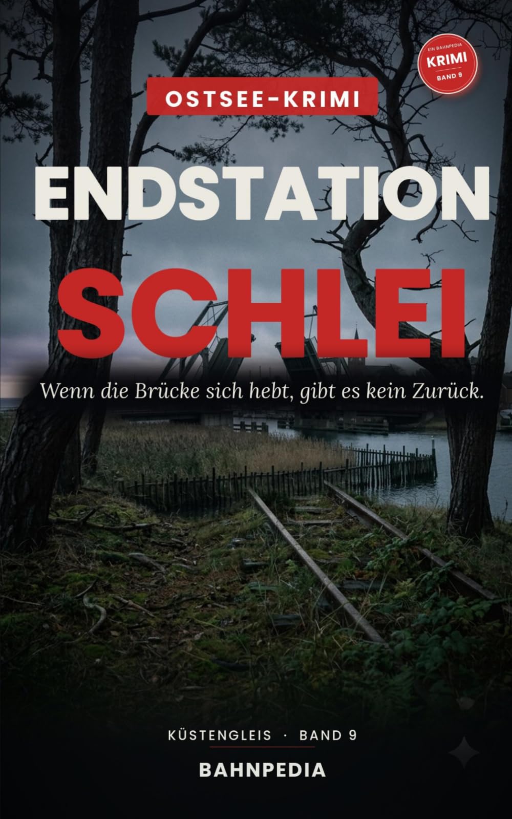 Endstation Schlei: Tod an der Klappbrücke – Ostsee-Krimi an der Schlei (Küstengleis 9) (Küstengleis Krimiserie)