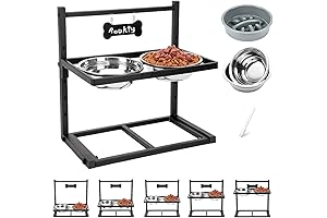 Elevated Dog Bowl Set with Slow Feeder
